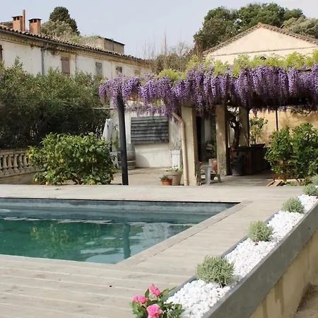 Maison La Glycine Domaine Viticole De 1 A 8 Personnes Ferienhaus