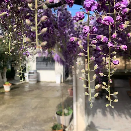 Maison La Glycine Domaine Viticole De 1 A 8 Personnes Дом отдыха
