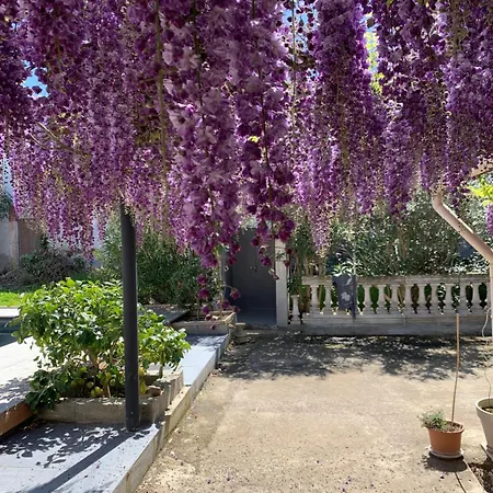 Maison La Glycine Domaine Viticole De 1 A 8 Personnes Дом отдыха Lauraguel