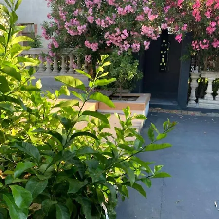 Maison La Glycine Domaine Viticole De 1 A 8 Personnes Дом отдыха Lauraguel